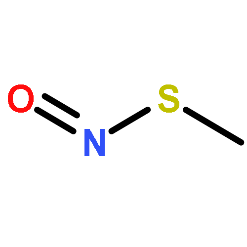 thionitrous acid S-methyl ester