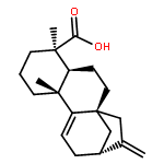 Grandiflorenic acid