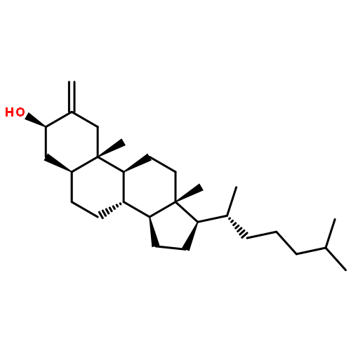 Cholestan-3-ol, 2-methylene-, (3b,5a)-