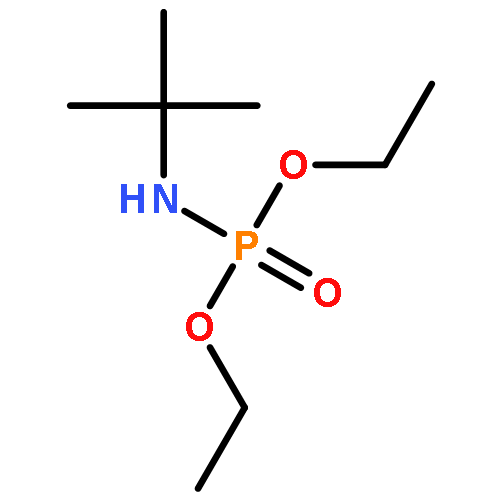 Phosphoramidicacid, (1,1-dimethylethyl)-, diethyl ester (9CI)