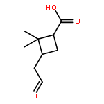 Cyclobutanecarboxylic acid, 2,2-dimethyl-3-(2-oxoethyl)-