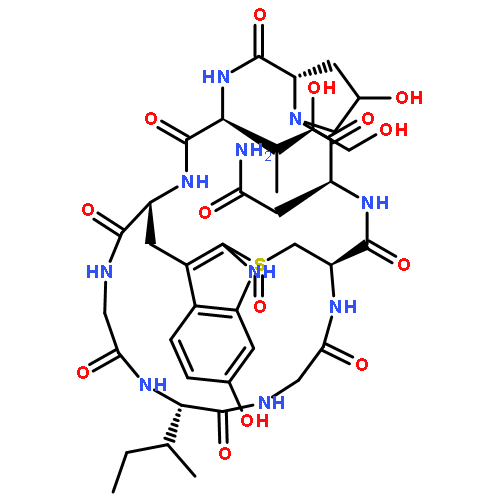 伪-Amanitin