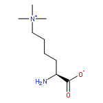 1-Pentanaminium,5-amino-5-carboxy-N,N,N-trimethyl-, inner salt, (5S)-