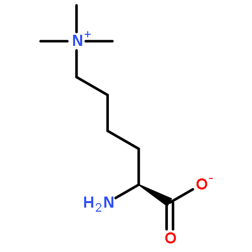 1-Pentanaminium,5-amino-5-carboxy-N,N,N-trimethyl-, inner salt, (5S)-