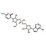 CYTIDYLYL-3',5'-ADENOSINE PHOSPHATE 