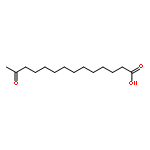 13-OXOTETRADECANOIC ACID 