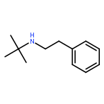 Benzeneethanamine, N-(1,1-dimethylethyl)-