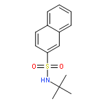 2-Naphthalenesulfonamide, N-(1,1-dimethylethyl)-