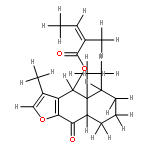 6beta-10alphaH-Angeloyl-6-Hydroxyfuranoeremophilan-9-one