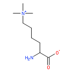 2-amino-6-(trimethylammonio)hexanoate