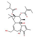 2-Butenoic acid,2-methyl-,(1aR,1bS,4aR,7aS,7bS,8R,9R,9aS)-1a,1b,4,4a,5,7a,7b,8,9,9a-decahydro-4a,7b-dihydroxy-3-(hydroxymethyl)-1,1,6,8-tetramethyl-9a-(2-methyl-1-oxobutoxy)-5-oxo-1H-cyclopropa[3,4]benz[1,2-e]azulen-9-ylester, (2E)- (9CI)