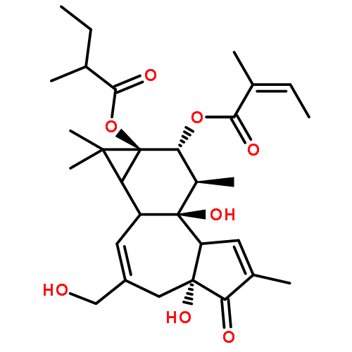 2-Butenoic acid,2-methyl-,(1aR,1bS,4aR,7aS,7bS,8R,9R,9aS)-1a,1b,4,4a,5,7a,7b,8,9,9a-decahydro-4a,7b-dihydroxy-3-(hydroxymethyl)-1,1,6,8-tetramethyl-9a-(2-methyl-1-oxobutoxy)-5-oxo-1H-cyclopropa[3,4]benz[1,2-e]azulen-9-ylester, (2E)- (9CI)