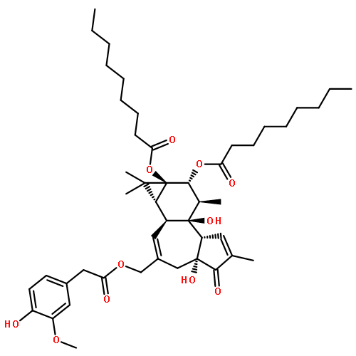 PDNHV