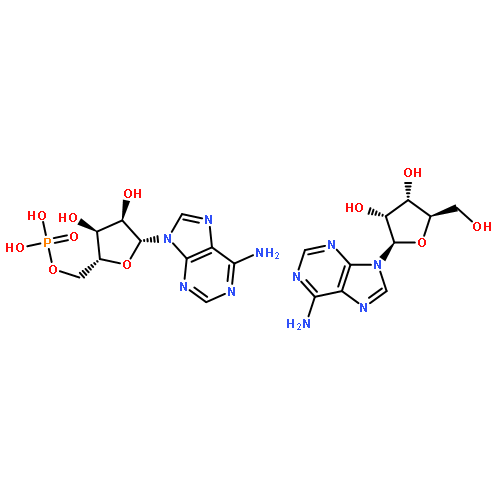 ADENOSINE MONOPHOSPHATE-ADENOSINE