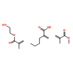 2-hydroxyethyl 2-methylprop-2-enoate; 2-methylenehexanoate; methyl 2-methylprop-2-enoate