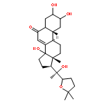 Stachysterone D