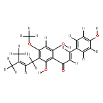 3'-prenyl-4'-O-methylchalconaringenin