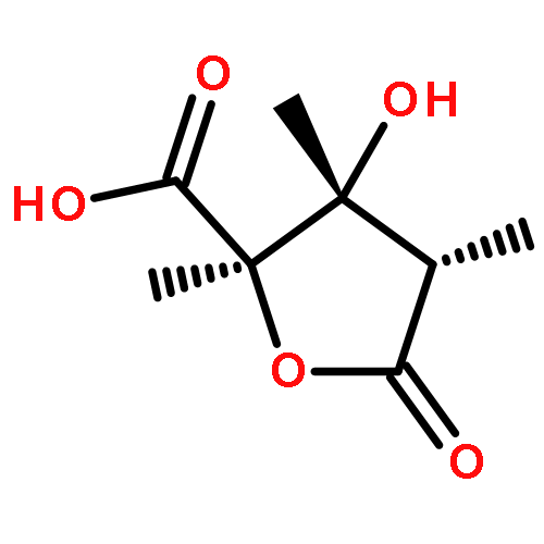 L-Arabinaric acid,2-deoxy-2-methyl-3,4-di-C-methyl-, 1,4-lactone (9CI)