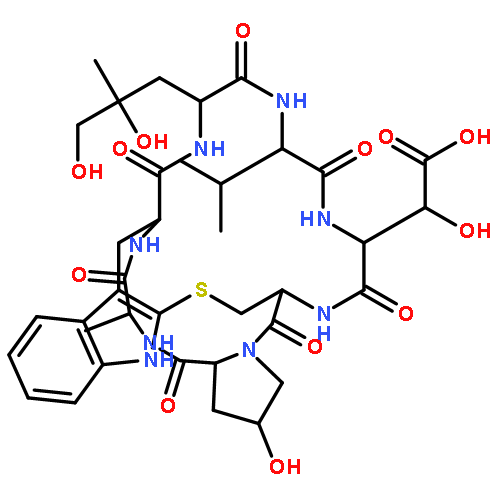 Phallacidin