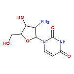 2'-Amino-2'-deoxyuridine