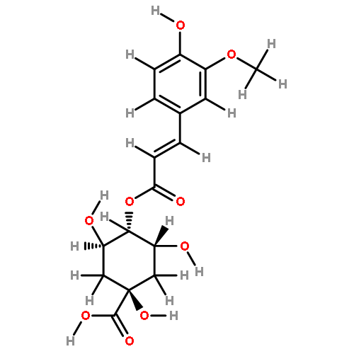 4-feruloylquinic acid