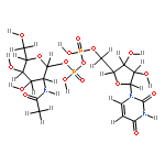 Uridin-5'-diphosphat-N-acetyl-galactosamin