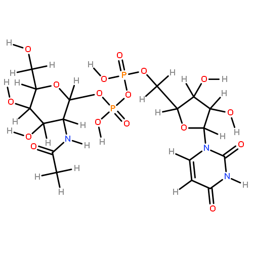 Uridin-5'-diphosphat-N-acetyl-galactosamin