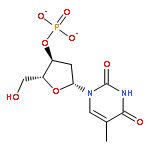 3'-Thymidylic acid