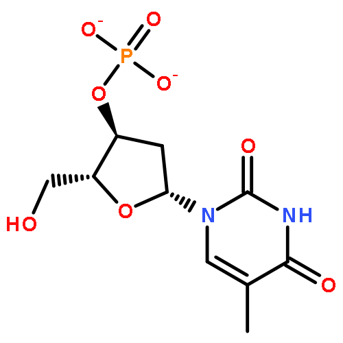 3'-Thymidylic acid