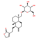 NEOANDROGRAPHOLIDE 