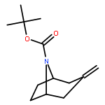 TERT-BUTYL 3-METHYLIDENE-8-AZABICYCLO[3.2.1]OCTANE-8-CARBOXYLATE 