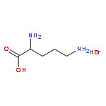 POLY-L-ORNITHINE HYDROBROMIDE