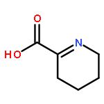 3,4,5,6-tetrahydropyridine-2-carboxylic acid