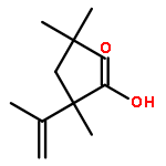 Pentanoic acid, 2,4,4-trimethyl-2-(1-methylethenyl)-