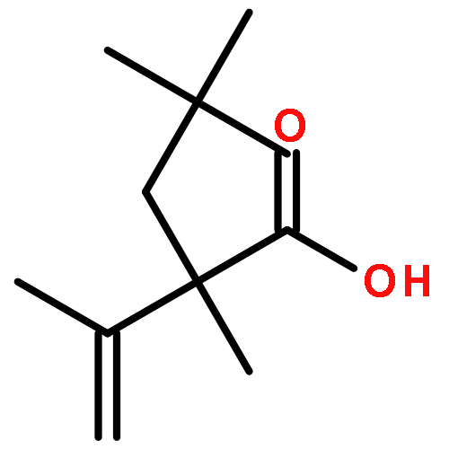 Pentanoic acid, 2,4,4-trimethyl-2-(1-methylethenyl)-