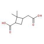 PINIC ACID 