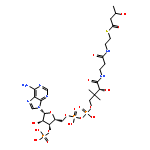 Coenzyme A,S-(3-hydroxybutanoate)