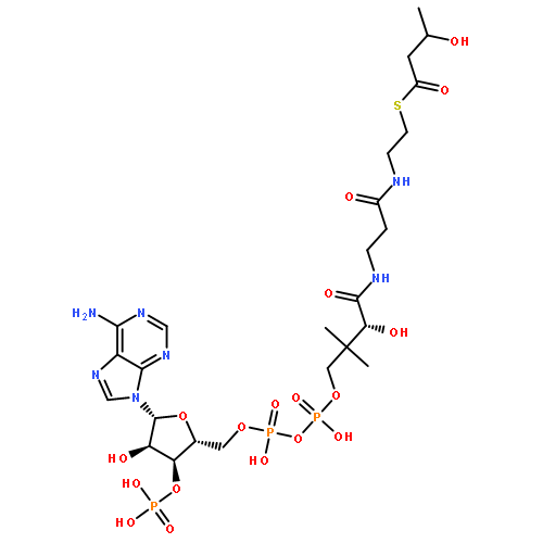 Coenzyme A,S-(3-hydroxybutanoate)