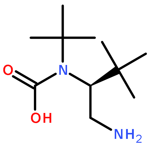 Carbamic acid,N-[(1S)-1-(aminomethyl)-2,2-dimethylpropyl]-, 1,1-dimethylethyl ester