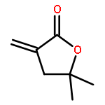 2(3H)-Furanone, dihydro-5,5-dimethyl-3-methylene-