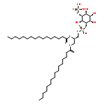 D-myo-Inositol,1-[(2R)-2,3-bis[(1-oxohexadecyl)oxy]propyl hydrogen phosphate] 5-(dihydrogenphosphate) (9CI)