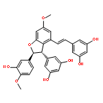 Shegansu B