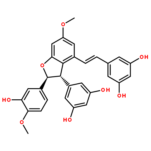 Shegansu B