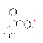 Cyanidin 3-Xyloside