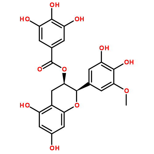 (-)-EGCG-3'-O-ME 