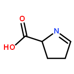 2H-Pyrrole-2-carboxylicacid, 3,4-dihydro-