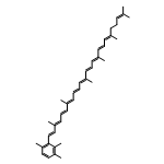 Chlorobacten