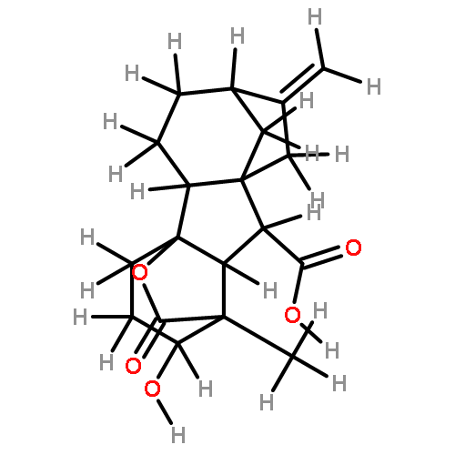 3-epi-GA4