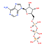 Adenosine5'-(tetrahydrogen triphosphate-P''-32P)