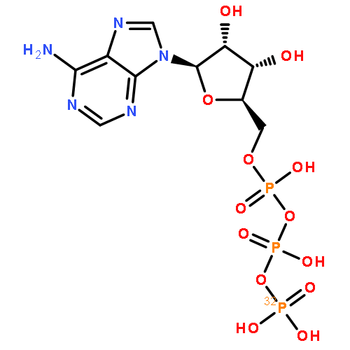 Adenosine5'-(tetrahydrogen triphosphate-P''-32P)